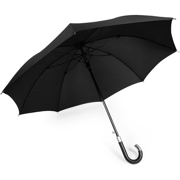 Amazon | DAVEK DUET UMBRELLA - 特大防風傘 自動開閉 (ブラック
